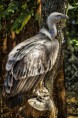 /album/retratos/img-1019-easyhdr-basic-2-jpg/