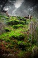 /album/fotogaleria/bastida2-jpg/