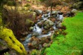 /album/fotogaleria/cascada-jpg/